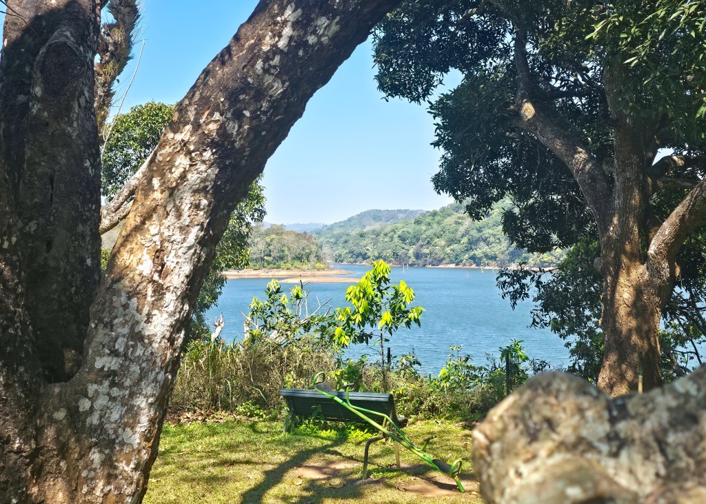 View through large trees toward a calm lake with forested hills beyond, with a green bench and seesaw on the grass in the foreground.